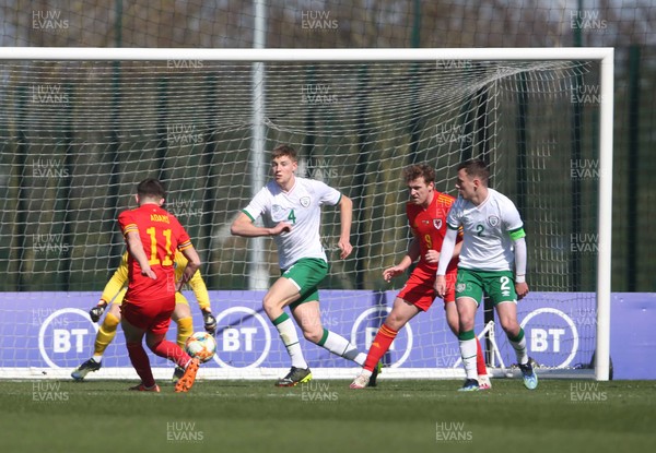 260321 - Wales U21 v Republic of Ireland U21 - International Friendly - Joe Adams scores first goal of match and celebrates