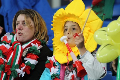131015 - Wales v Andorra - UEFA European Championship Qualifiers - Wales fans enjoy the game