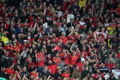 131015 - Wales v Andorra - UEFA European Championship Qualifiers - Wales fans enjoy the game