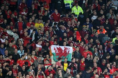 131015 - Wales v Andorra - UEFA European Championship Qualifiers - Wales fans enjoy the game