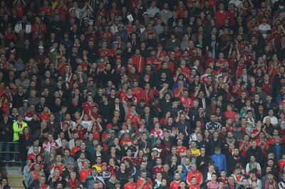 131015 - Wales v Andorra - UEFA European Championship Qualifiers - Wales fans enjoy the game