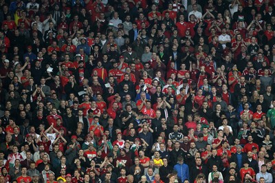 131015 - Wales v Andorra - UEFA European Championship Qualifiers - Wales fans enjoy the game