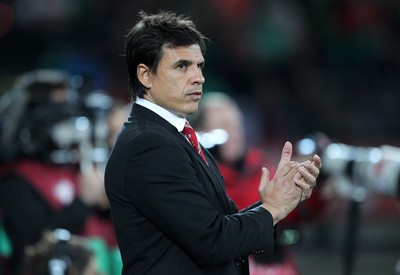 131015 - Wales v Andorra - UEFA European Championship Qualifiers - Wales Manager Chris Coleman