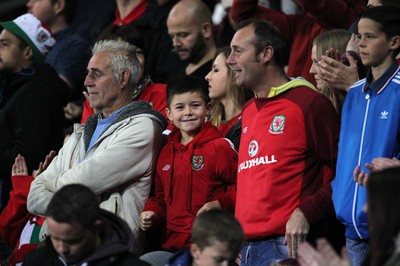 131015 - Wales v Andorra - UEFA European Championship Qualifiers - Wales fans