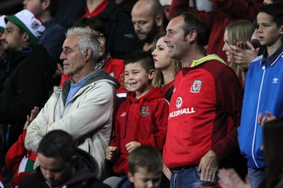 131015 - Wales v Andorra - UEFA European Championship Qualifiers - Wales fans