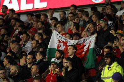 131015 - Wales v Andorra - UEFA European Championship Qualifiers - Wales fans