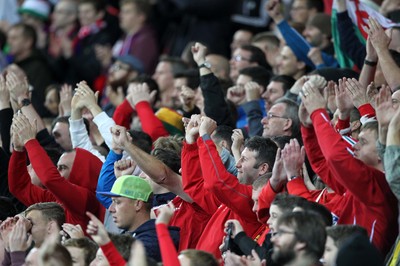 131015 - Wales v Andorra - UEFA European Championship Qualifiers - Wales fans