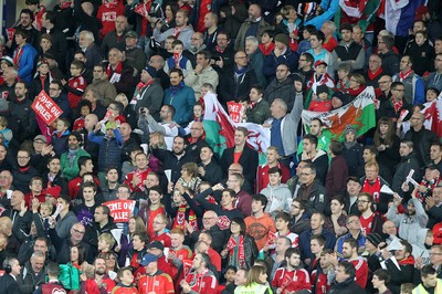 131015 - Wales v Andorra - UEFA European Championship Qualifiers - Wales fans