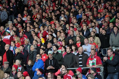 131015 - Wales v Andorra - UEFA European Championship Qualifiers - Wales fans