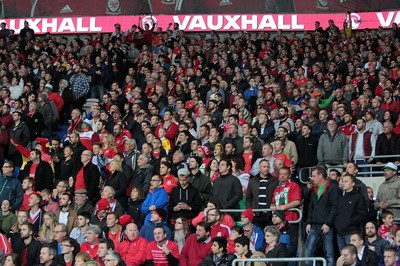 131015 - Wales v Andorra - UEFA European Championship Qualifiers - Wales fans