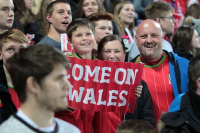 131015 - Wales v Andorra - UEFA European Championship Qualifiers - Wales fans