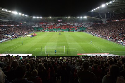 131015 - Wales v Andorra, UEFA European Championship Qualifier - Wales fans fly the flag during the national anthems