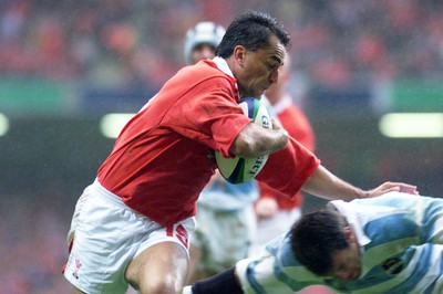 Wales v Argentina 011099