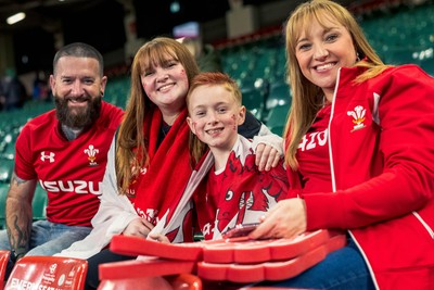 091125 - Wales v Argentina - Quilter Nations Series - Fans ahead of the game