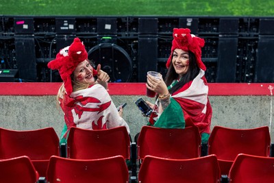 091125 - Wales v Argentina - Quilter Nations Series - Fans ahead of the game
