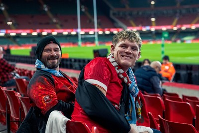 091125 - Wales v Argentina - Quilter Nations Series - Fans ahead of the game