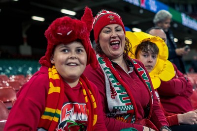 091125 - Wales v Argentina - Quilter Nations Series - Fans ahead of the game