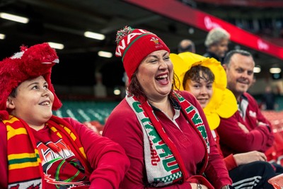 091125 - Wales v Argentina - Quilter Nations Series - Fans ahead of the game