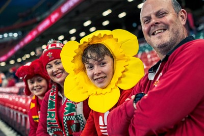091125 - Wales v Argentina - Quilter Nations Series - Fans ahead of the game