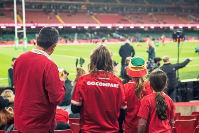 091125 - Wales v Argentina - Quilter Nations Series - Fans ahead of the game