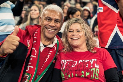 091125 - Wales v Argentina - Quilter Nations Series - Wales fans during the game