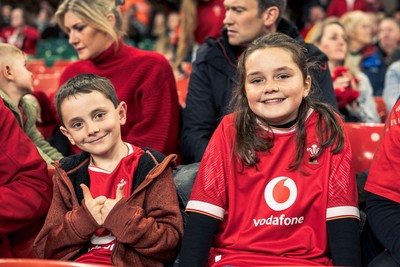 091125 - Wales v Argentina - Quilter Nations Series - Wales fans during the game