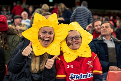 091125 - Wales v Argentina - Quilter Nations Series - Wales fans during the game