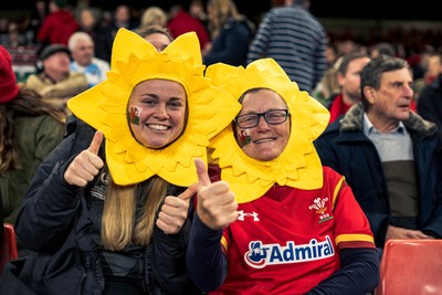 091125 - Wales v Argentina - Quilter Nations Series - Wales fans during the game