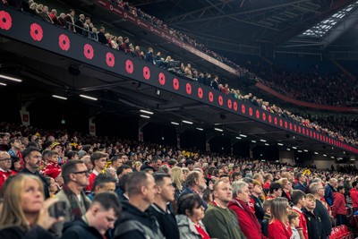 091125 - Wales v Argentina - Quilter Nations Series - Fans pay their respects during the minutes silence to mark Remembrance Sunday 