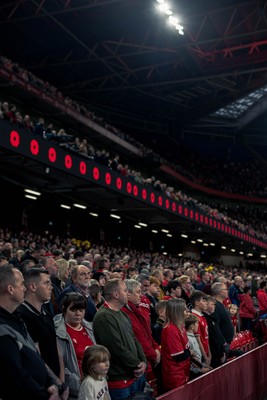 091125 - Wales v Argentina - Quilter Nations Series - Fans pay their respects during the minutes silence to mark Remembrance Sunday 