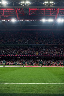 091125 - Wales v Argentina - Quilter Nations Series - Fans pay their respects during the minutes silence to mark Remembrance Sunday 
