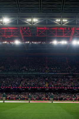 091125 - Wales v Argentina - Quilter Nations Series - Fans pay their respects during the minutes silence to mark Remembrance Sunday 