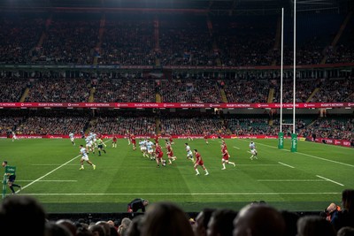 091125 - Wales v Argentina - Quilter Nations Series - Fans view of the game 