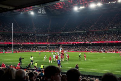 091125 - Wales v Argentina - Quilter Nations Series - Fans view of the game 
