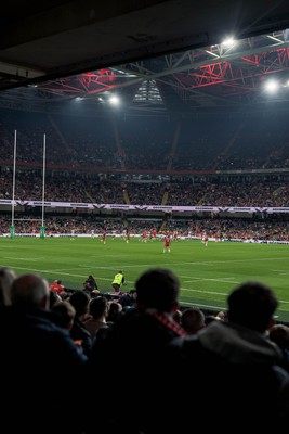 091125 - Wales v Argentina - Quilter Nations Series - Fans view of the game 