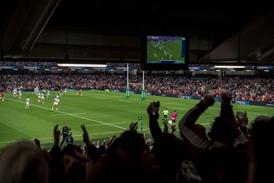 091125 - Wales v Argentina - Quilter Nations Series - Fans view of the game 