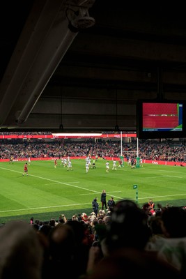091125 - Wales v Argentina - Quilter Nations Series - Fans view of the game 