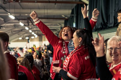 091125 - Wales v Argentina - Quilter Nations Series - Wales fans during the game