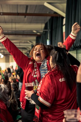 091125 - Wales v Argentina - Quilter Nations Series - Wales fans during the game