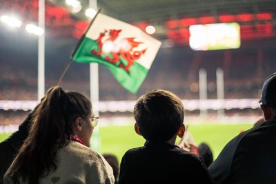 091125 - Wales v Argentina - Quilter Nations Series - Fans view of the game 