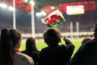 091125 - Wales v Argentina - Quilter Nations Series - Fans view of the game 