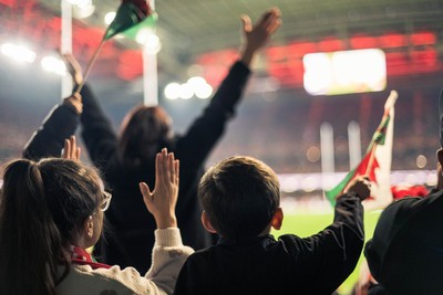 091125 - Wales v Argentina - Quilter Nations Series - Fans view of the game 