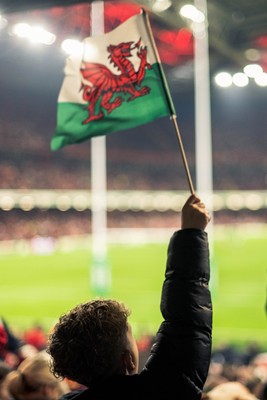 091125 - Wales v Argentina - Quilter Nations Series - Fans view of the game 