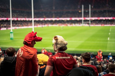 091125 - Wales v Argentina - Quilter Nations Series - Wales fans during the game