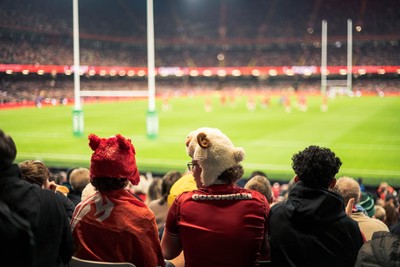 091125 - Wales v Argentina - Quilter Nations Series - Wales fans during the game