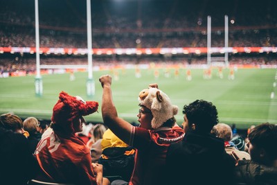 091125 - Wales v Argentina - Quilter Nations Series - Wales fans during the game