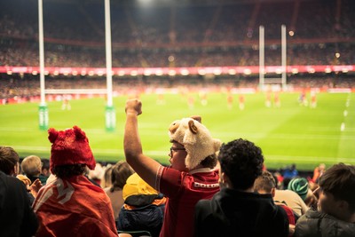 091125 - Wales v Argentina - Quilter Nations Series - Wales fans during the game