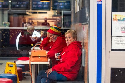 091125 - Wales v Argentina - Quilter Nations Series - Fans ahead of the game