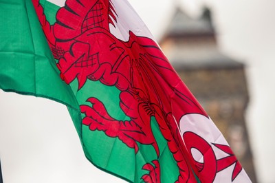 091125 - Wales v Argentina - Quilter Nations Series - Fans ahead of the game