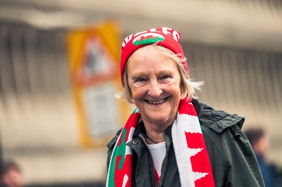 091125 - Wales v Argentina - Quilter Nations Series - Fans ahead of the game